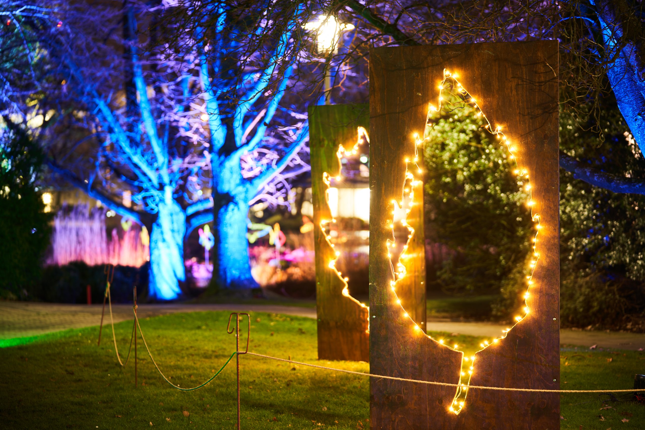 2023 01 23 Parkleuchten 0030